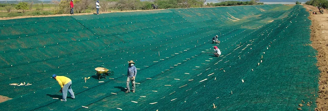 Mantos desplegados sobre un talud